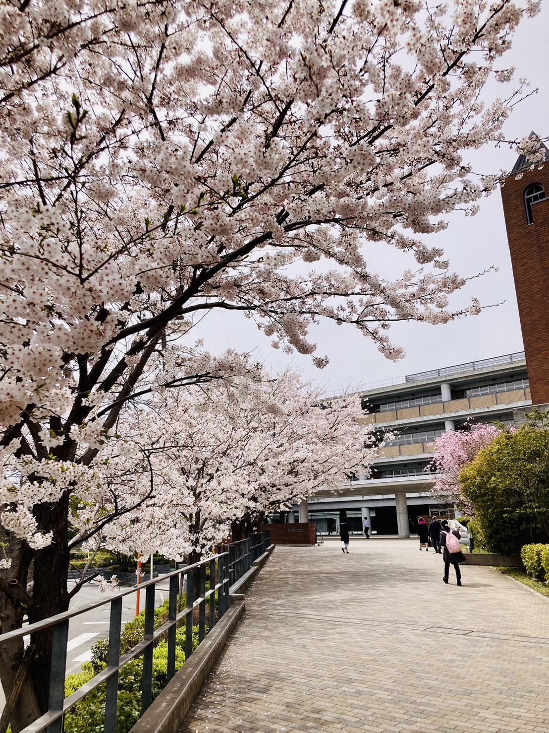 学内コンサート